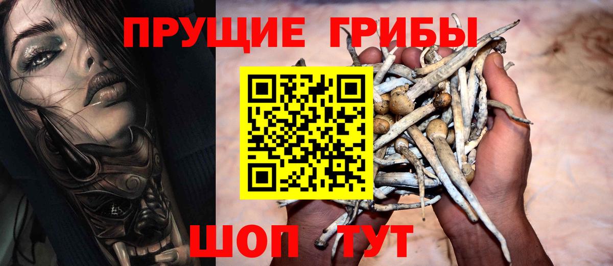 Псилоцибиновые грибы Psilocybe  Вход с VPN  Псилоцибиновые грибы ЛСД  Севастополь 