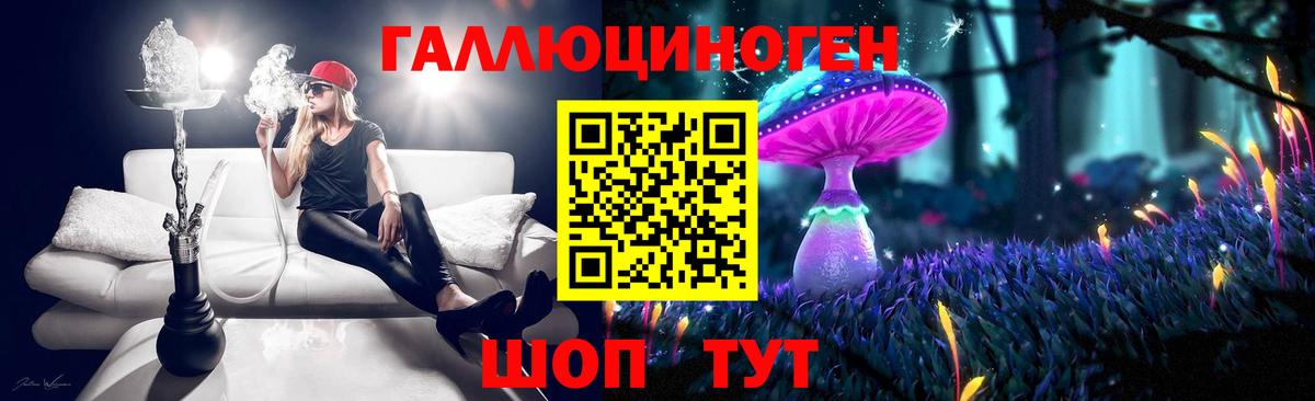 Псилоцибиновые грибы Psilocybe Севастополь
